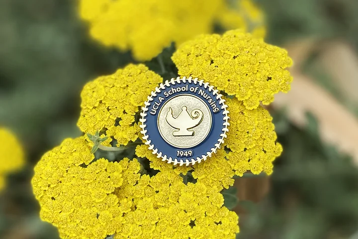 The UCLA School of Nursing pin