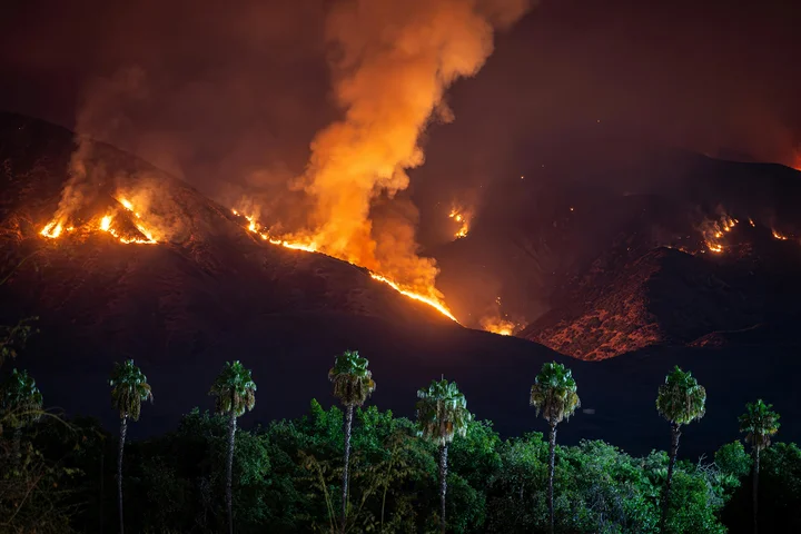 An mountainside in Los Angeles on fire with palm trees in the foreground.